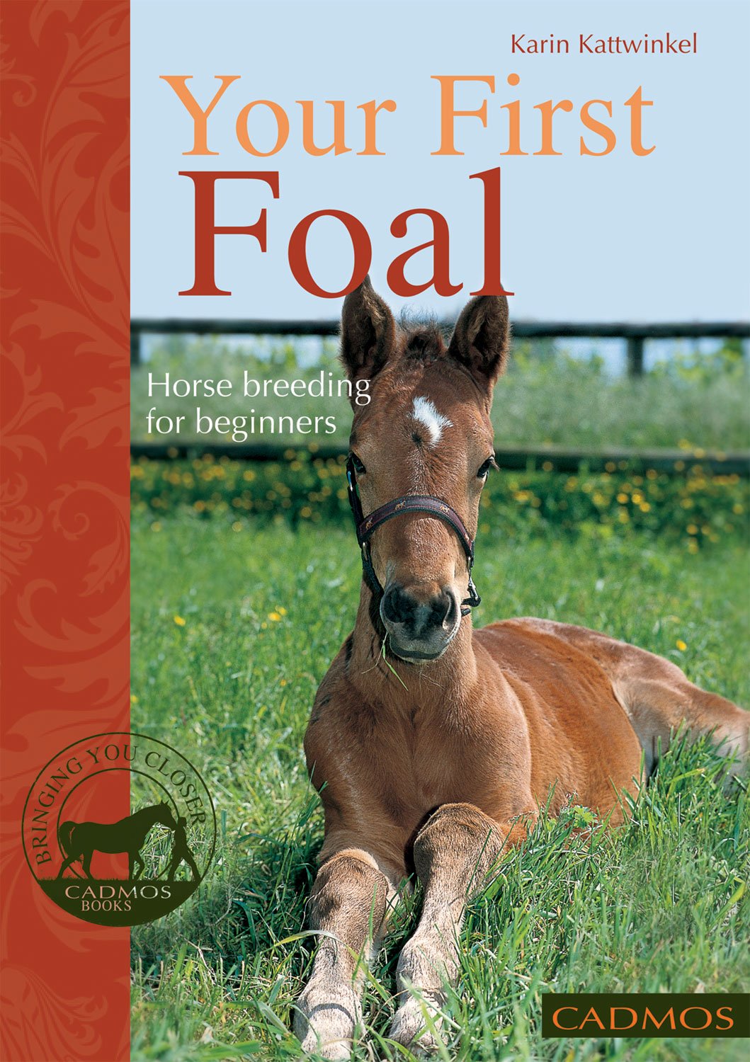 Your First Foal: Horse Breeding for Beginners Mathematics
