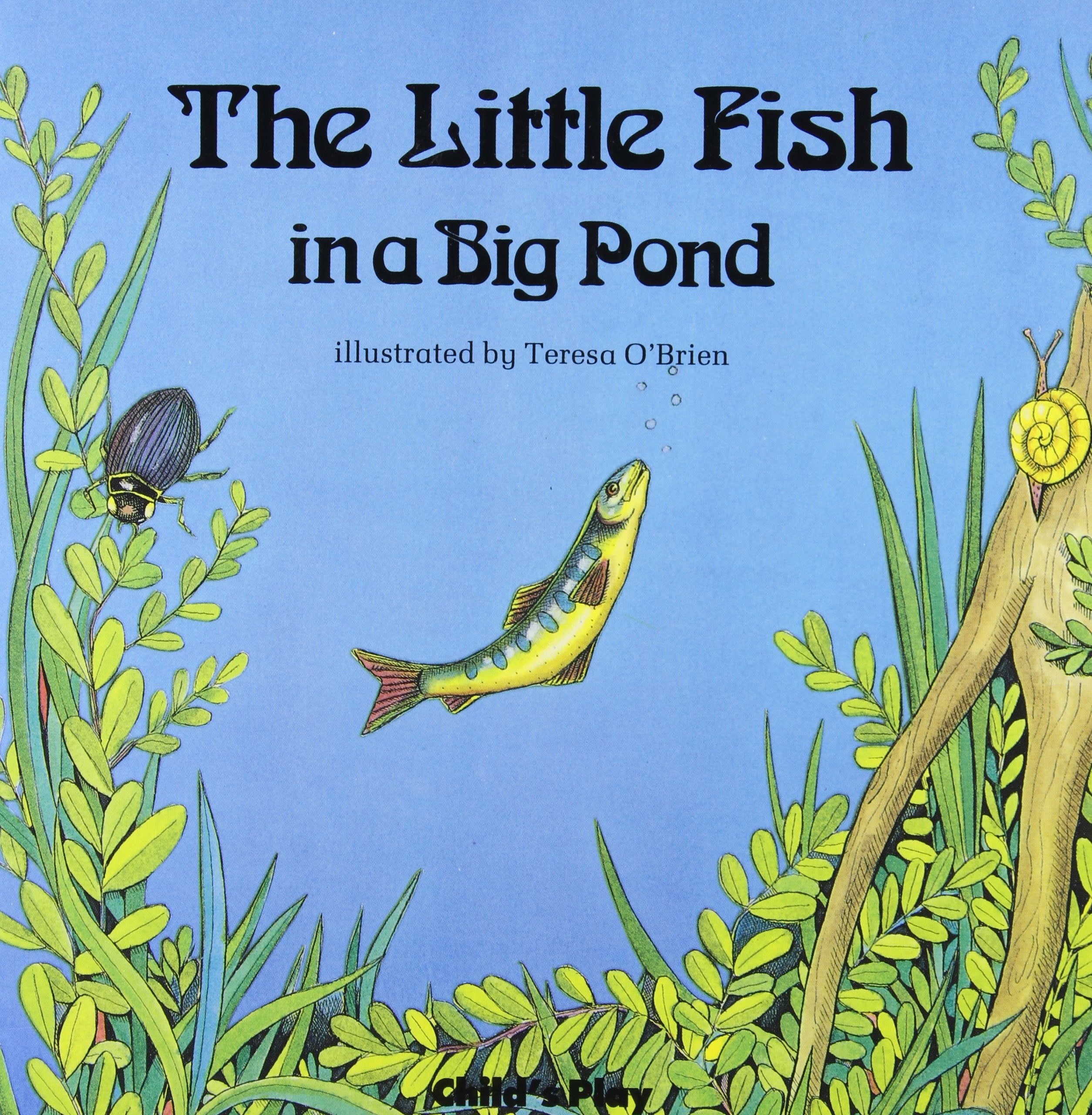 Little Fish in a Big Pond (Child's Play library) Books