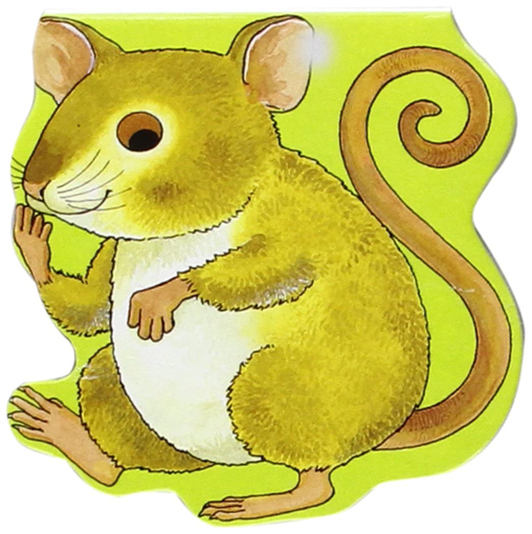 Souris (Pocket Pals (Safari Ltd French)) Parents & Children