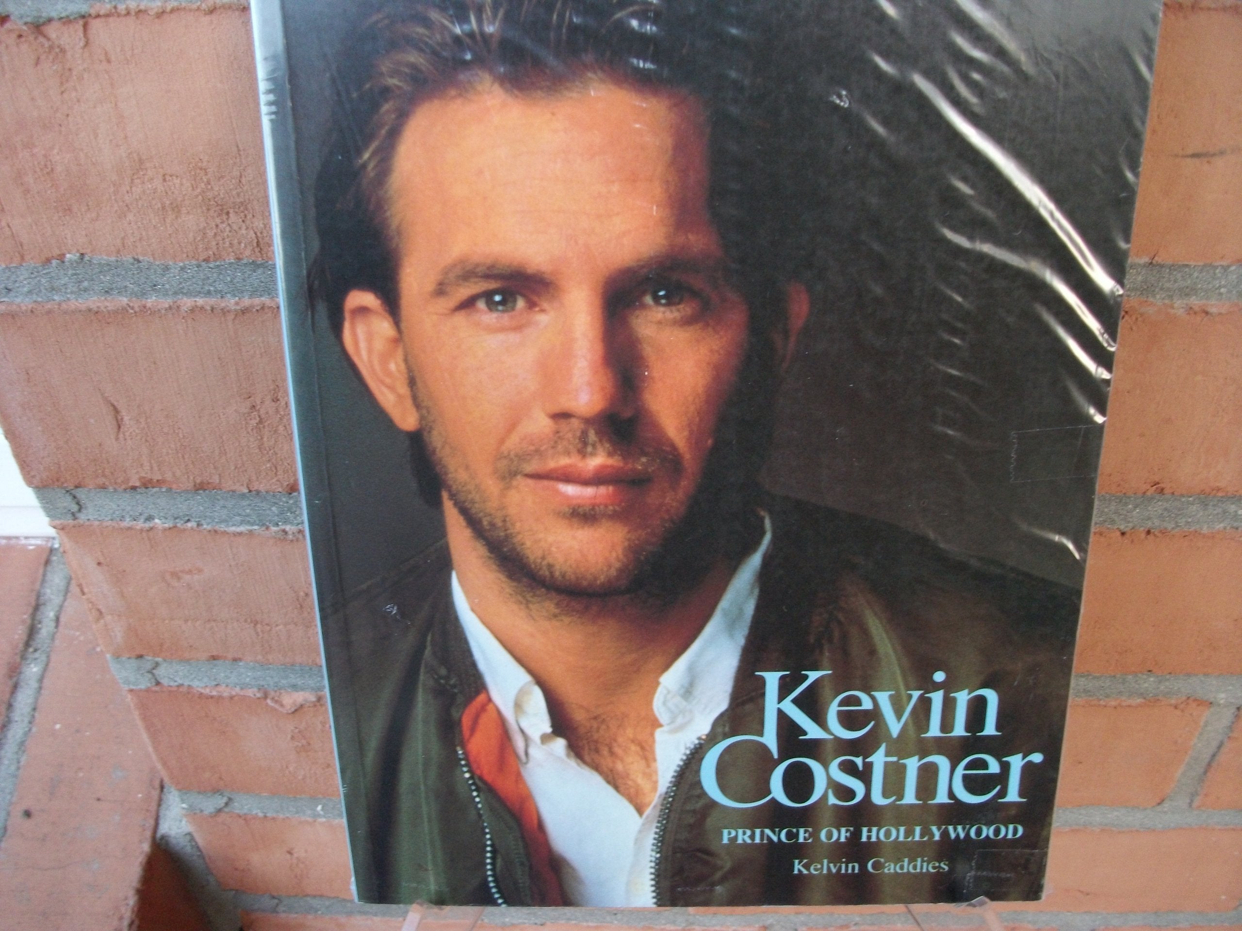 Kevin Costner:prince Of Hollywood Art & Literature