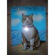 Product Image: Illustrated Cat
