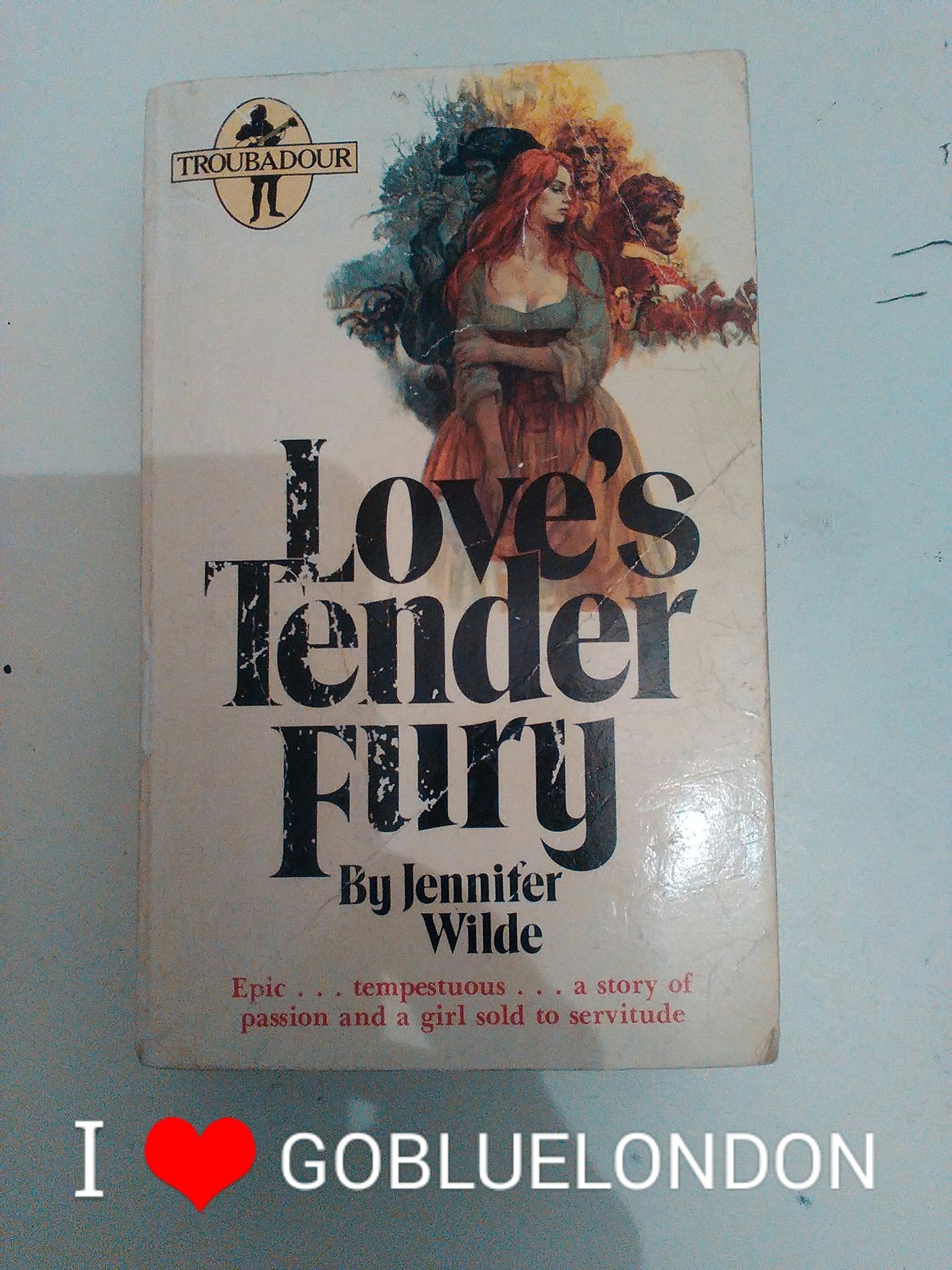 Love's Tender Fury (Troubadour Books) Books