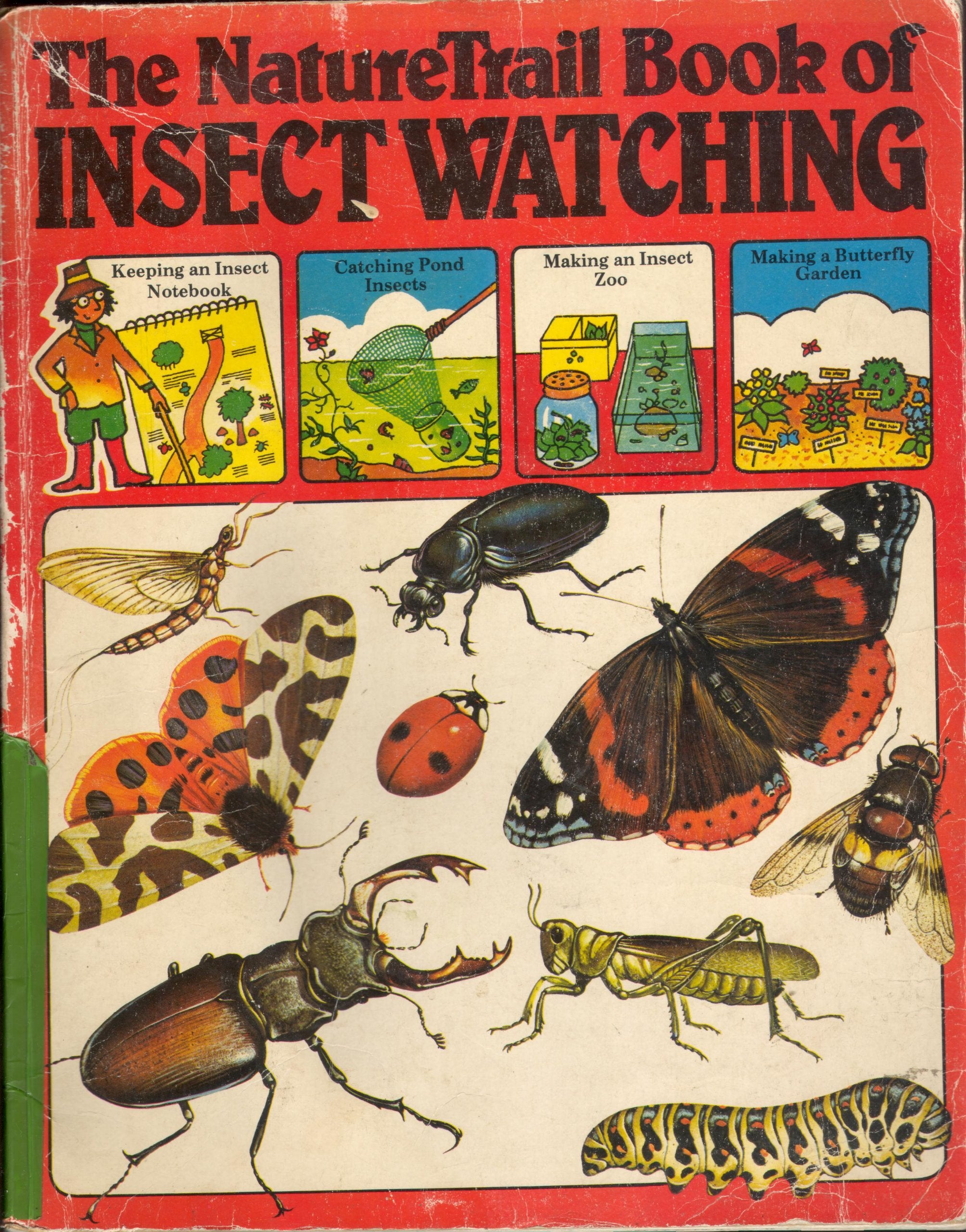 The Nature Trail Book of Insect Watching (Usborne Nature Trail) Books
