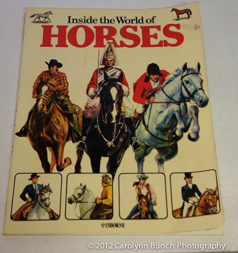 Inside the World of Horses (Rigby opal books) Novels & Short Stories
