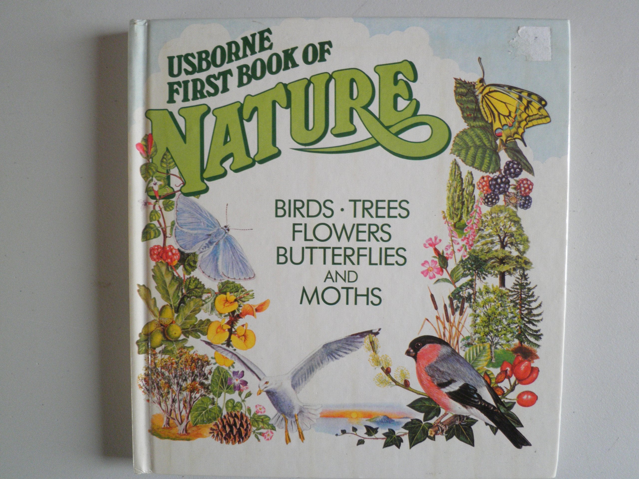 Usborne First Book of Nature: Birds Trees Flowers Butterflies and Moths Mathematics