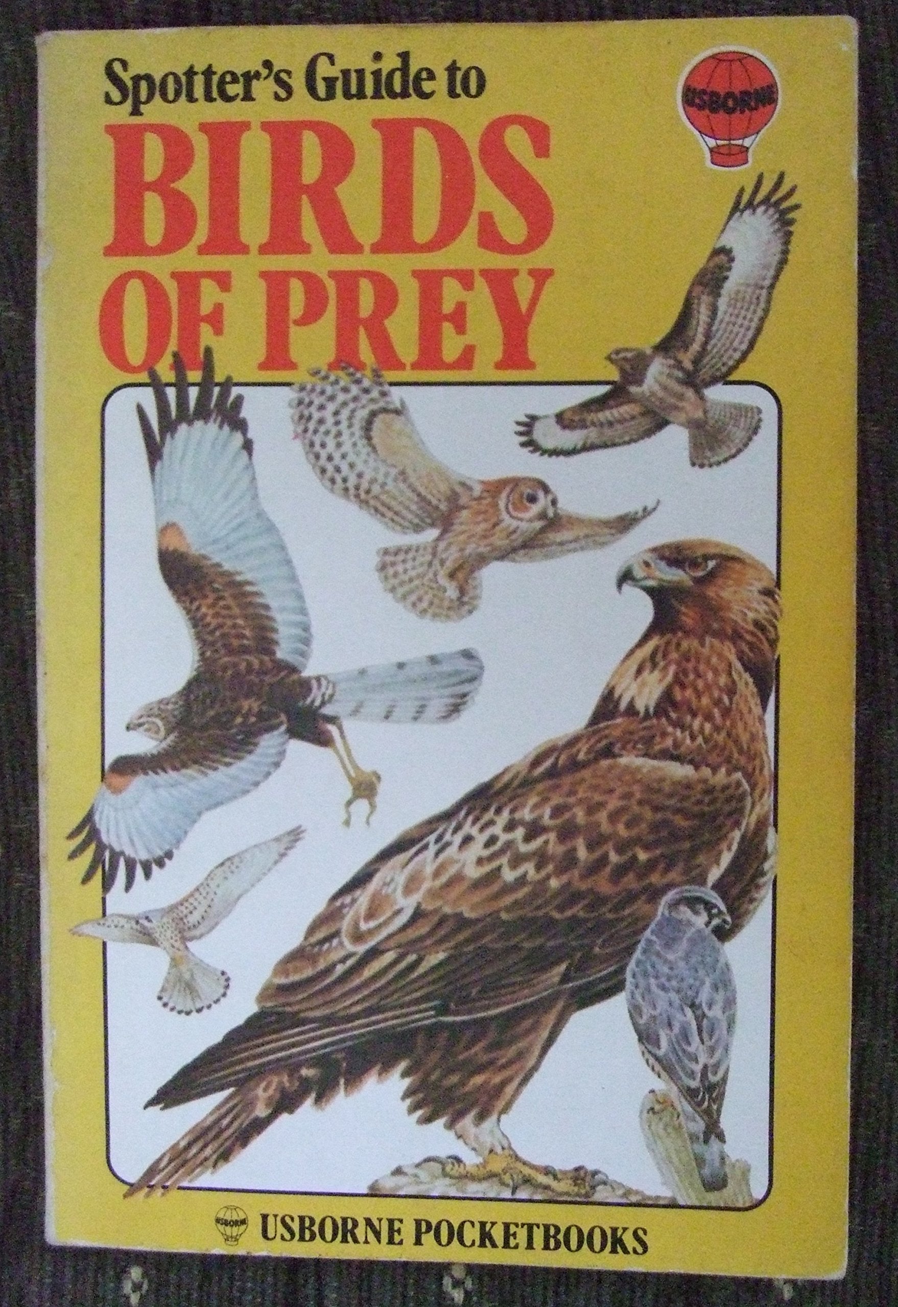 Birds of Prey (Spotter's Guide) Mathematics