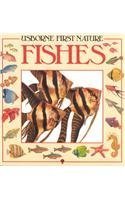 Usborne First Nature: Fishes Non-fiction
