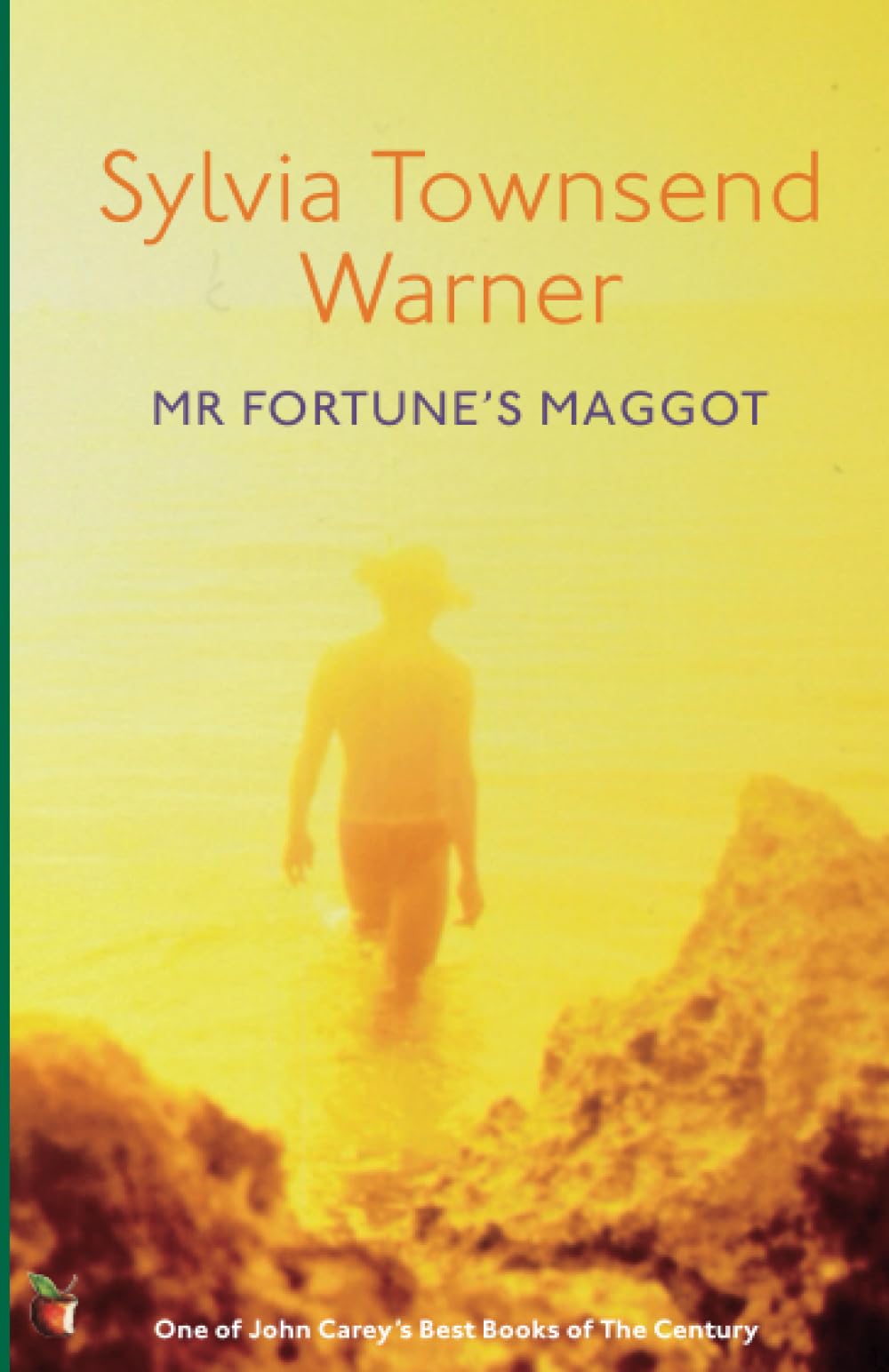 Mr Fortune's Maggot Contemporary literature Books