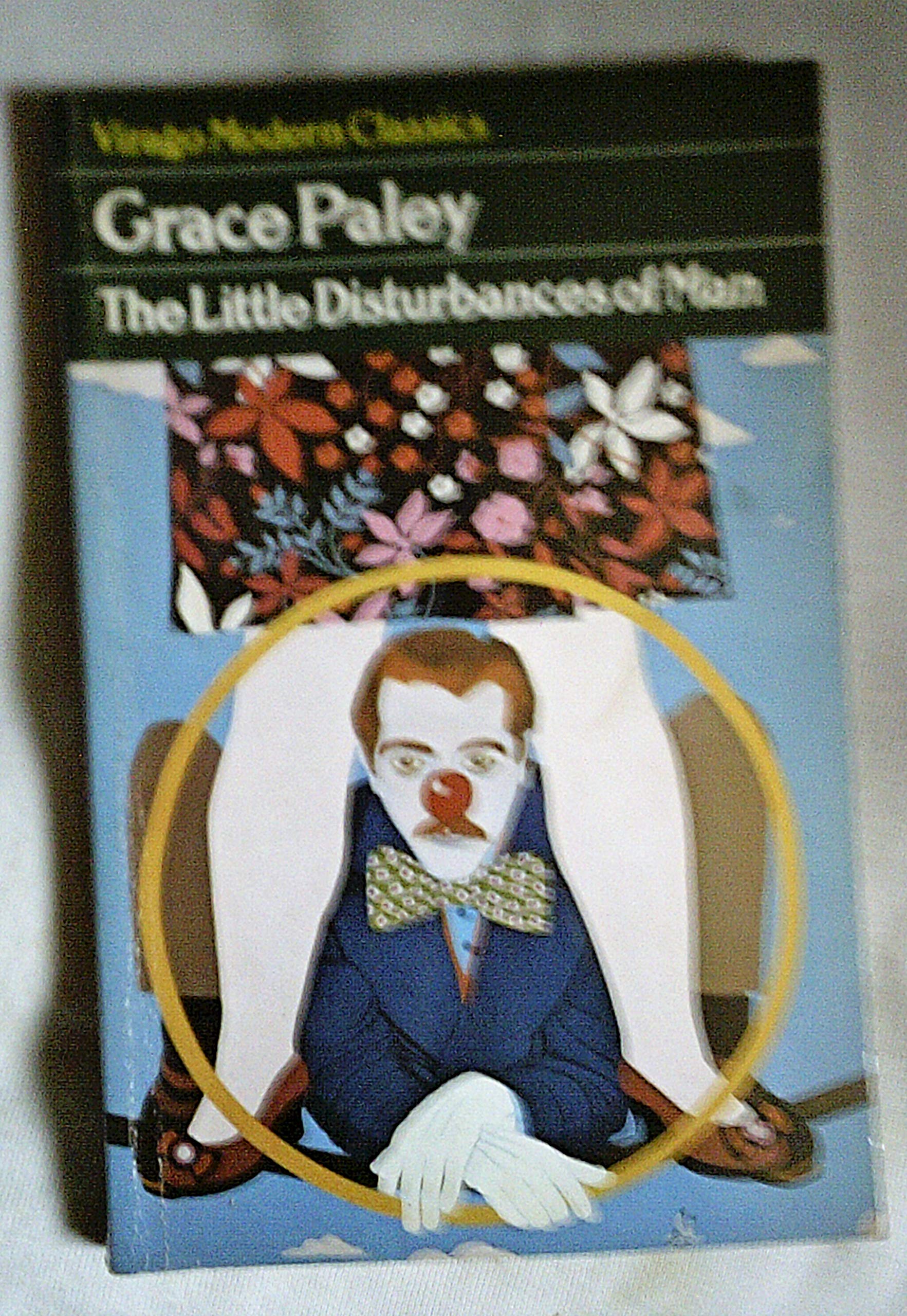 The Little Disturbances of Man book