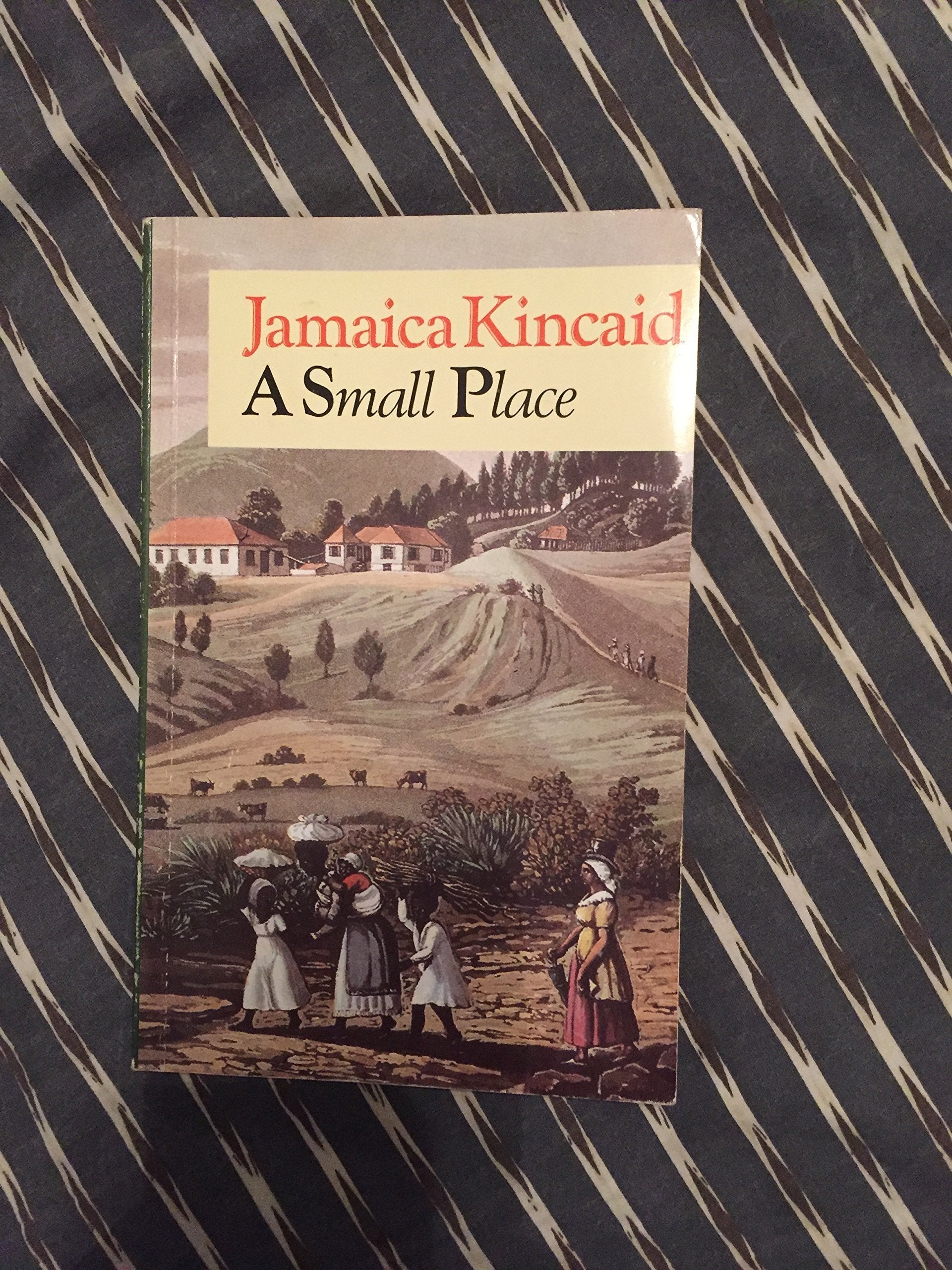 Product Image: A Small Place