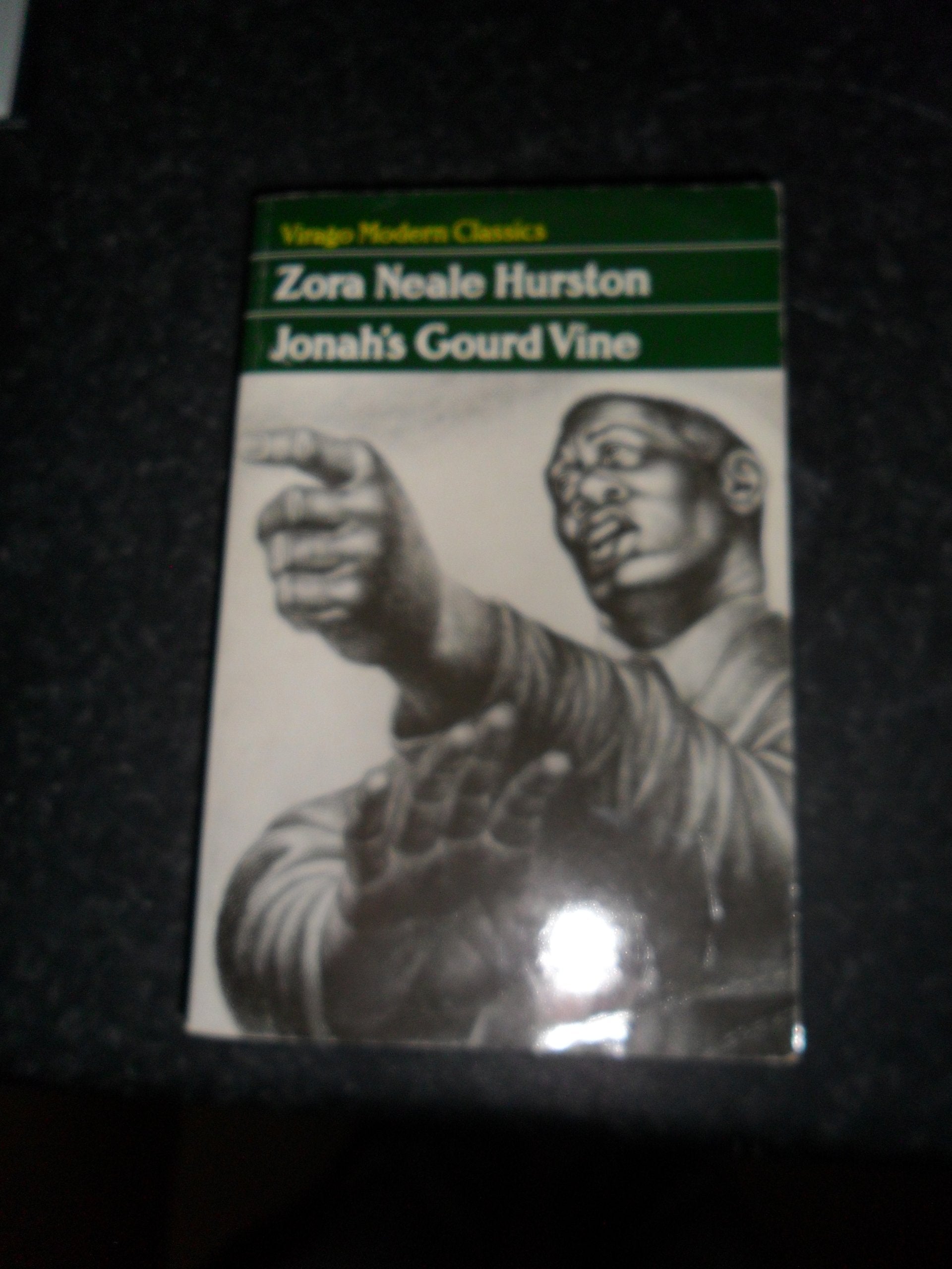 Jonah's Gourd Vine (Virago Modern Classics) Contemporary literature