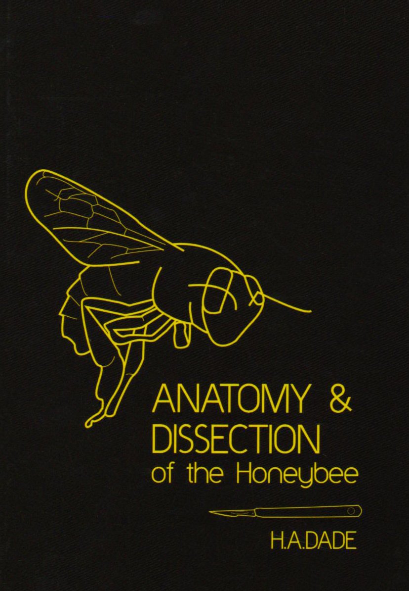 Anatomy and Dissection of the Honeybee Natural Sciences