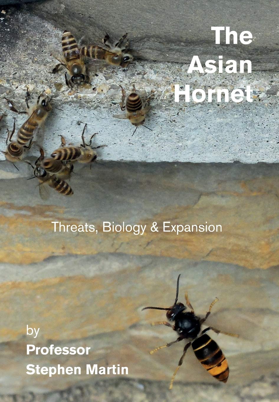The Asian Hornet: Threats, Biology & Expansion Mathematics