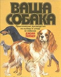 DOG OF YOUR OWN Pets