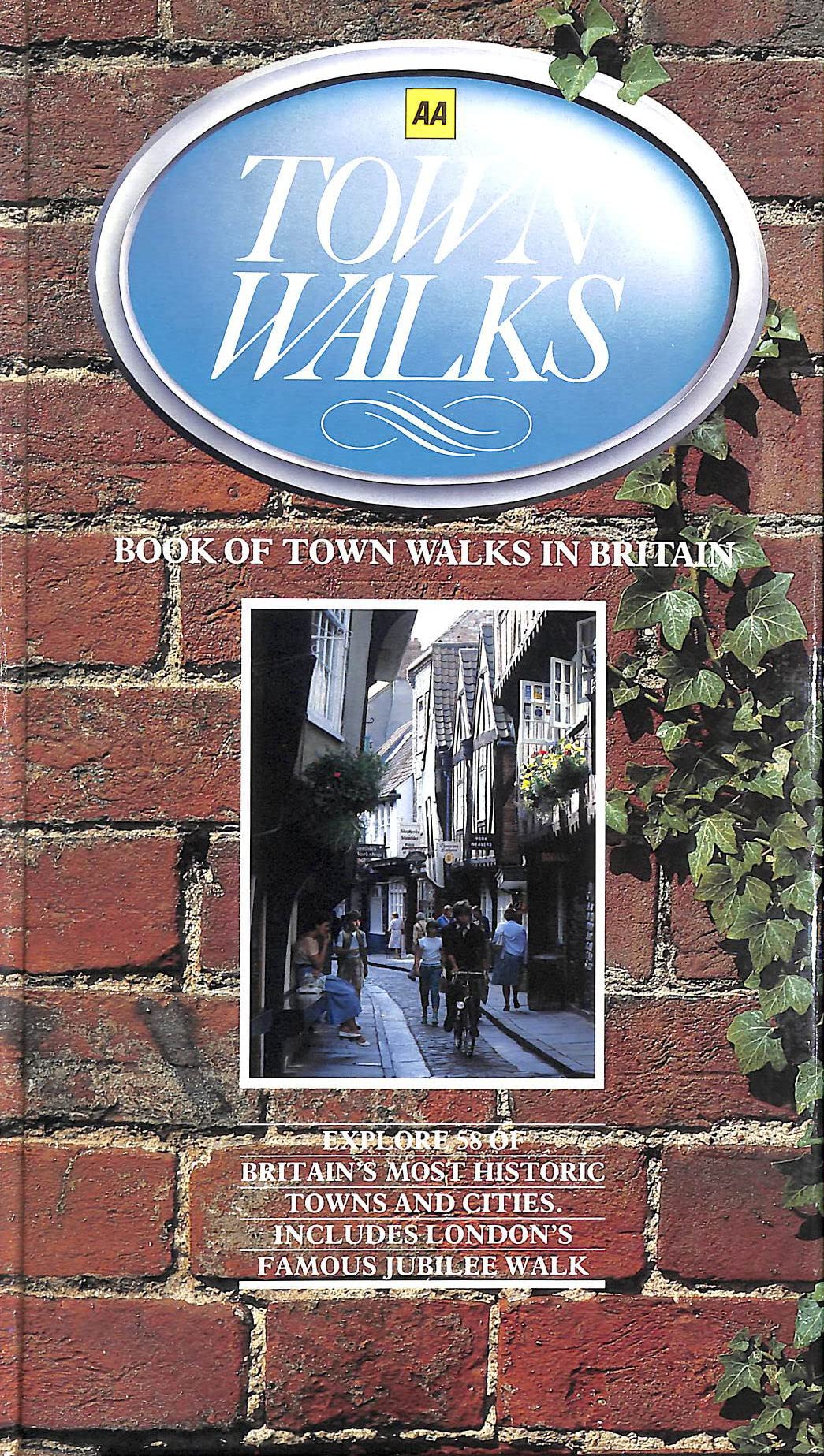 Book of Town Walks Leisure, Home & Garden
