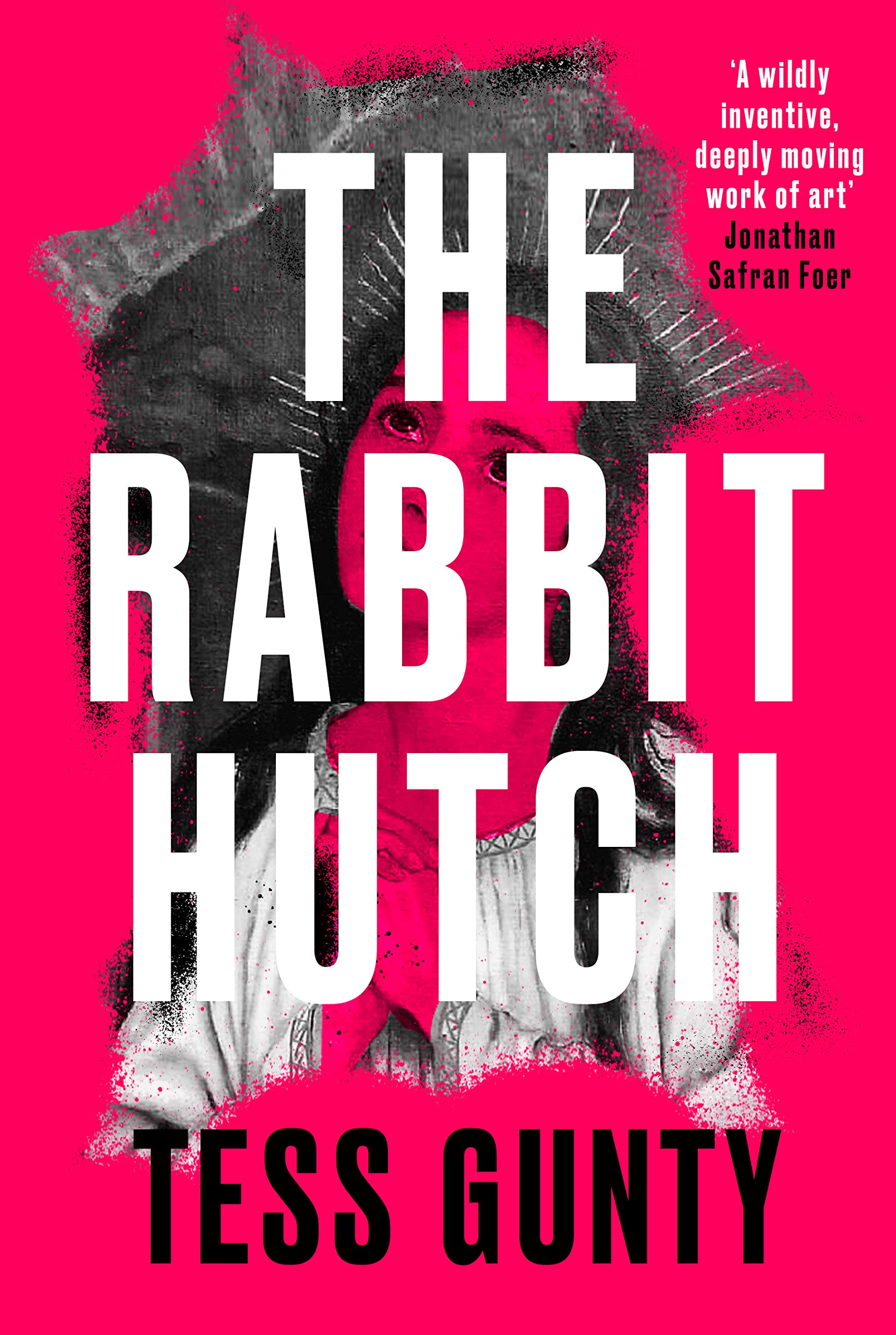 The Rabbit Hutch Contemporary literature Books
