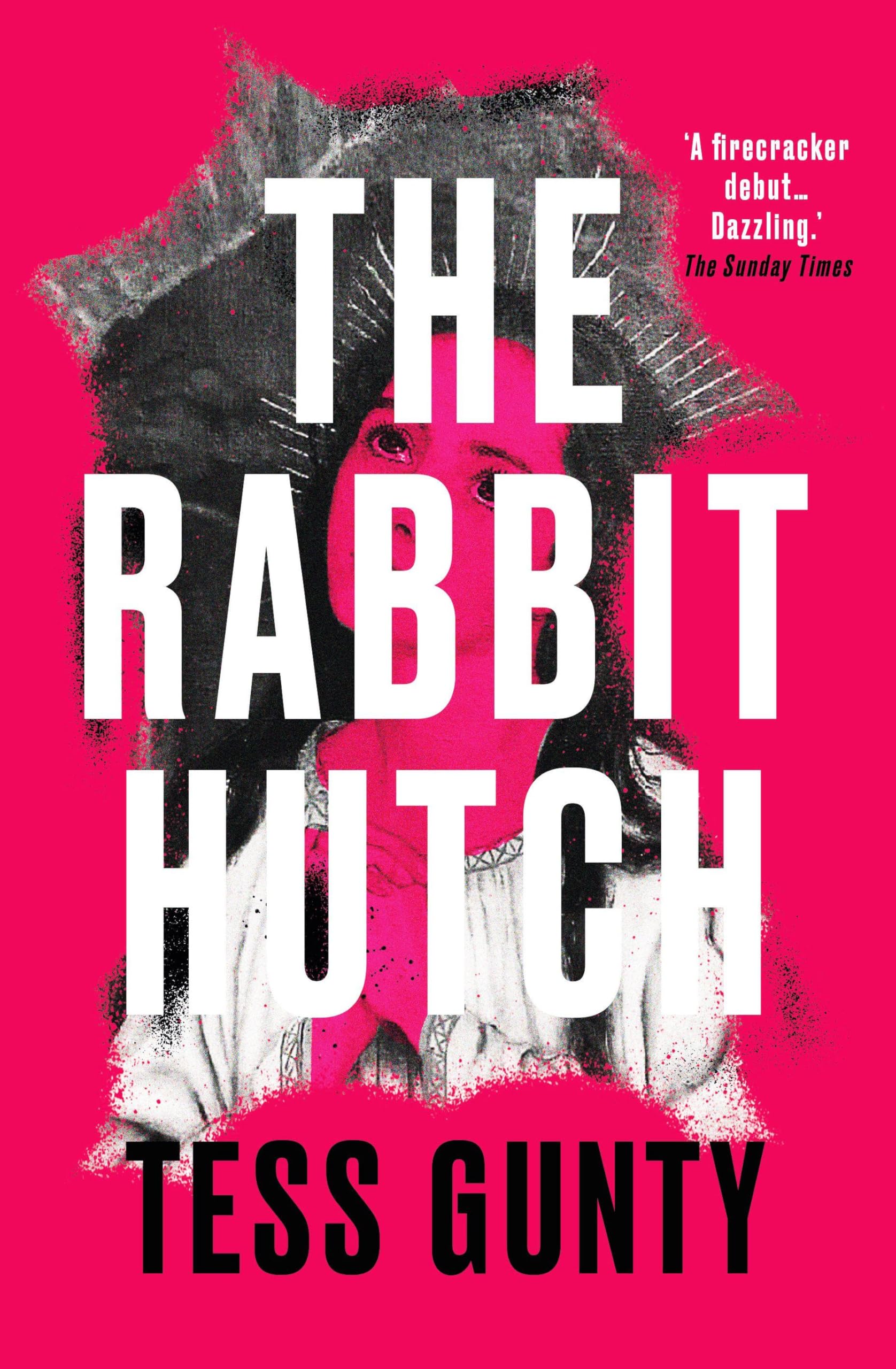 The Rabbit Hutch Contemporary literature Books