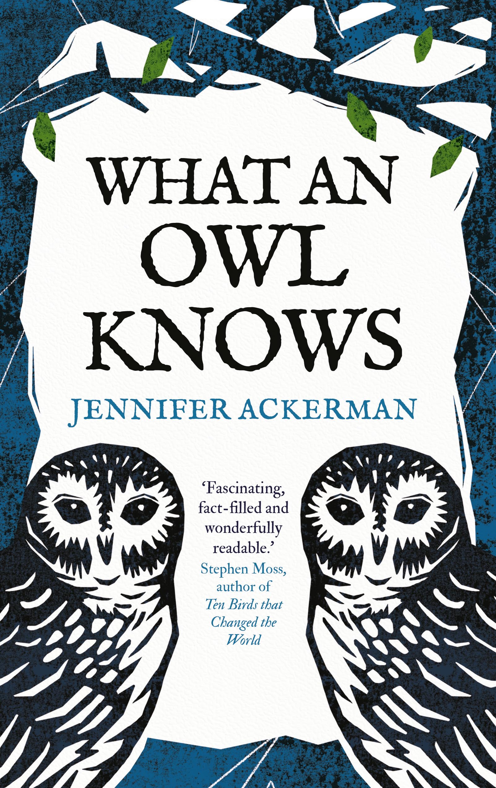 What an Owl Knows Books