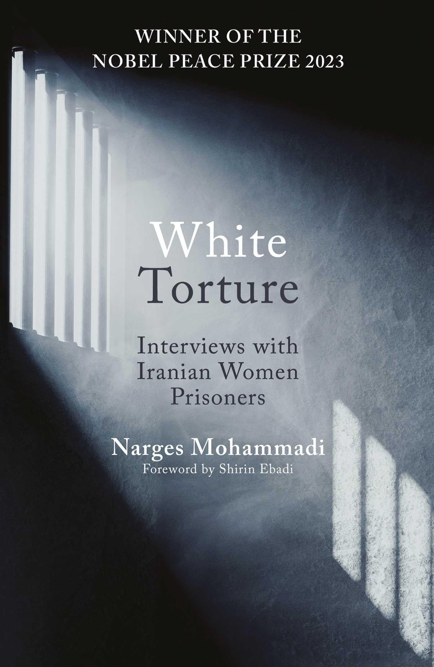 White Torture Social Sciences Books