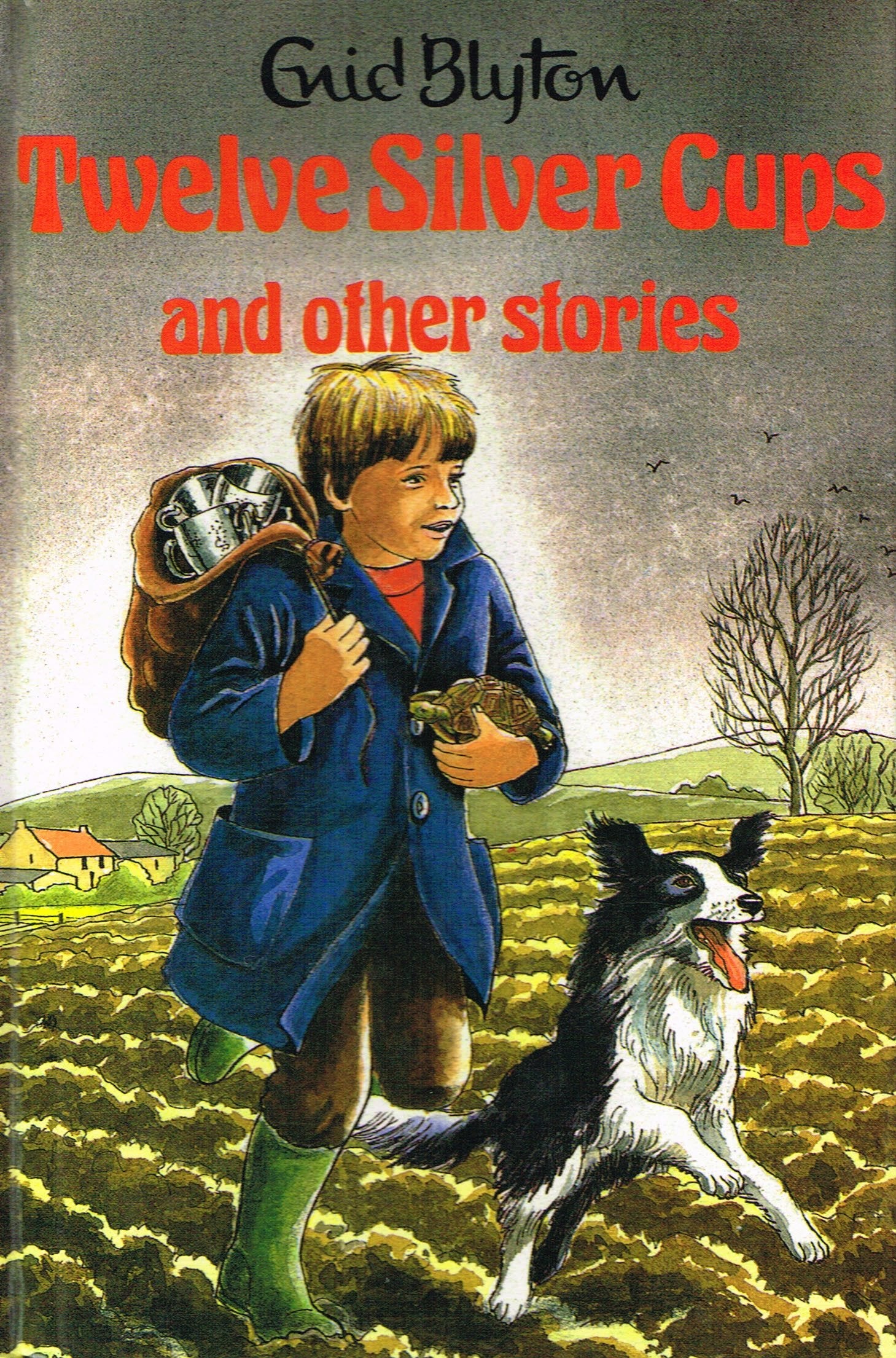 Twelve Silver Cups and Other Stories (Enid Blyton's Popular Rewards Series 1) Novels & Short Stories