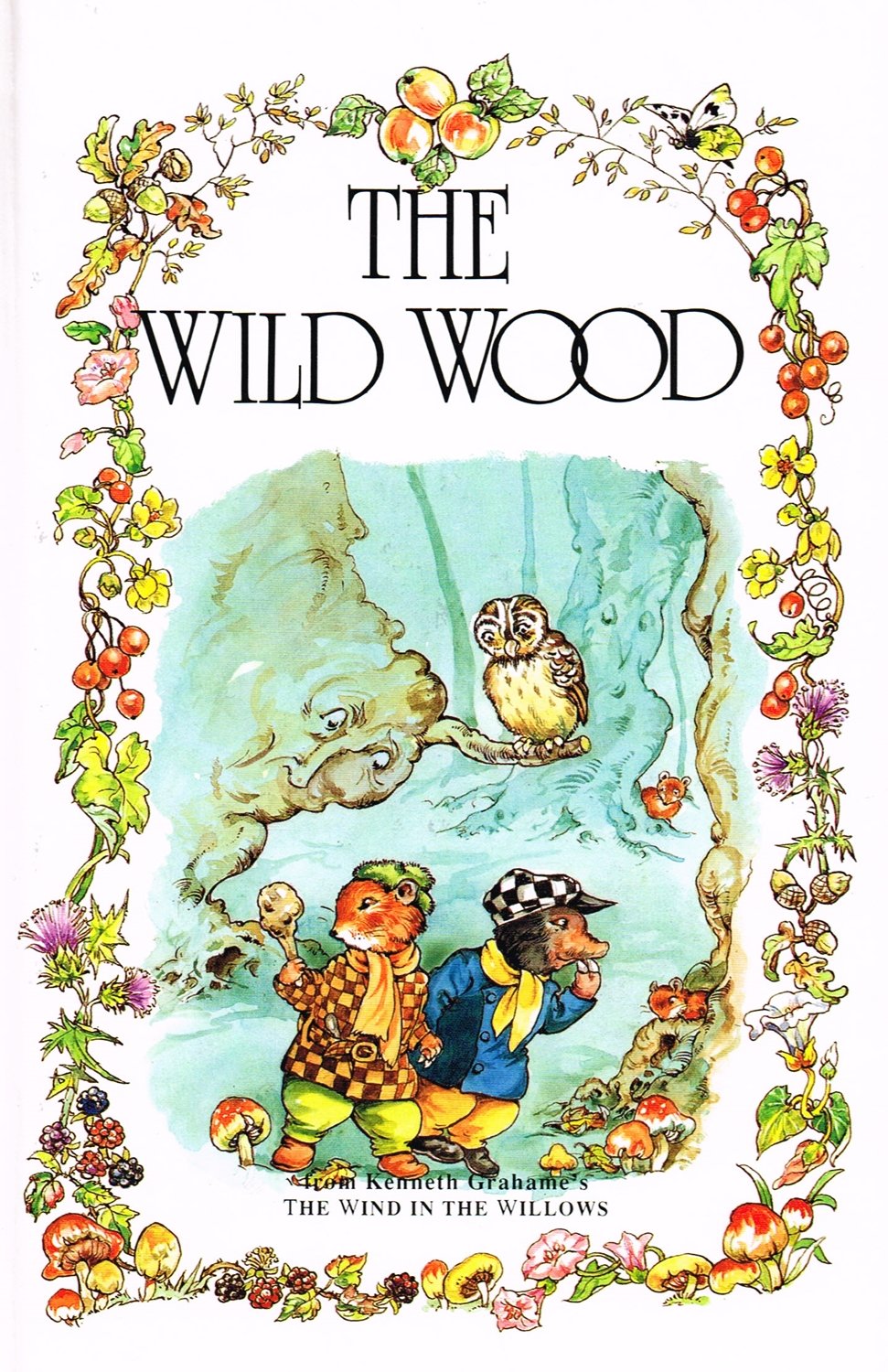 The Wild Wood (The wind in the willows library) Books