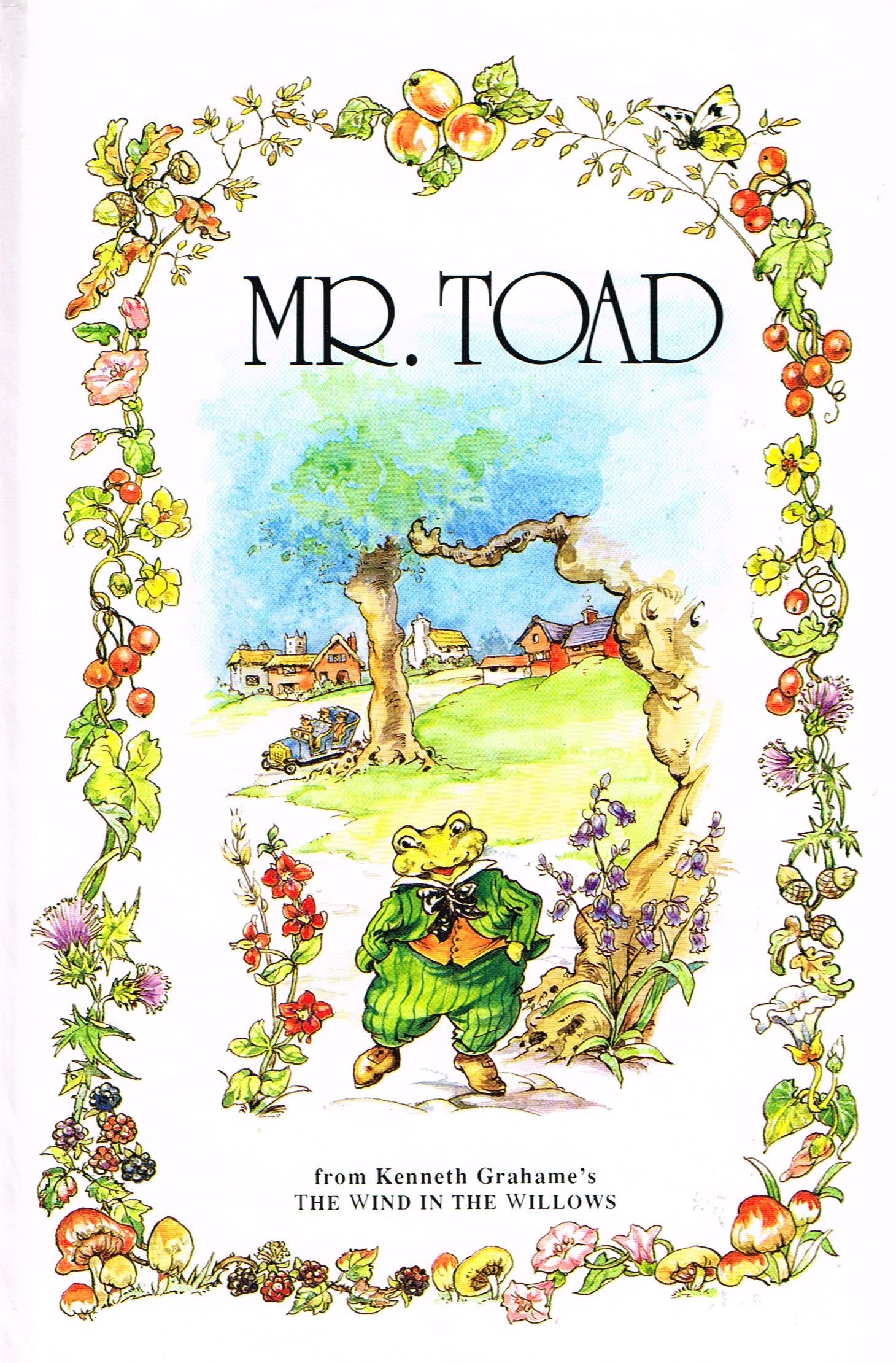 Mr. Toad (The wind in the willows library) Books