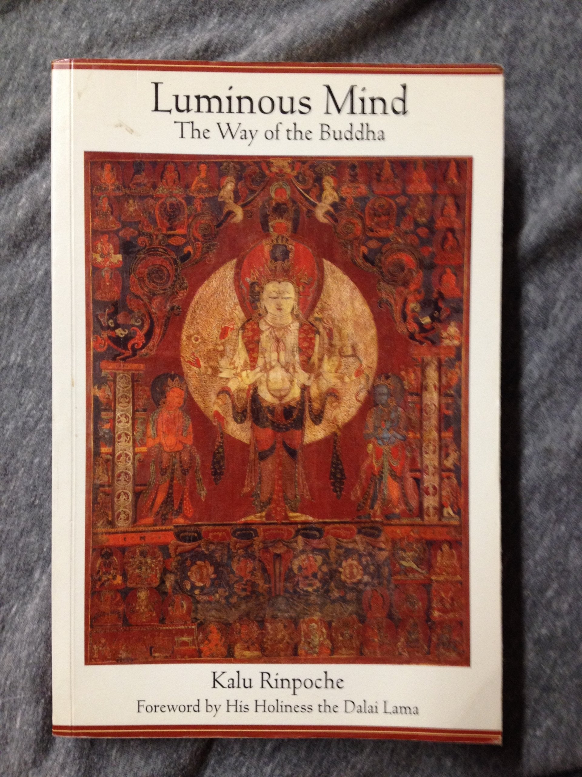 Luminous Mind: The Way of the Buddha Philosophy