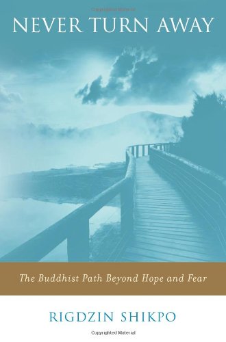 Never Turn Away: The Buddhist Path Beyond Hope and Fear Philosophy