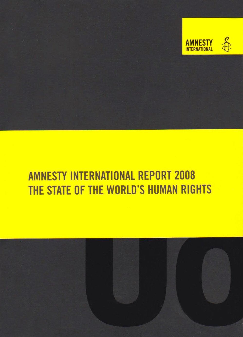 Amnesty International Report 2008: The State of the World's Human Rights (Amnesty International Report: The State of the World's Human Rights) Social Sciences