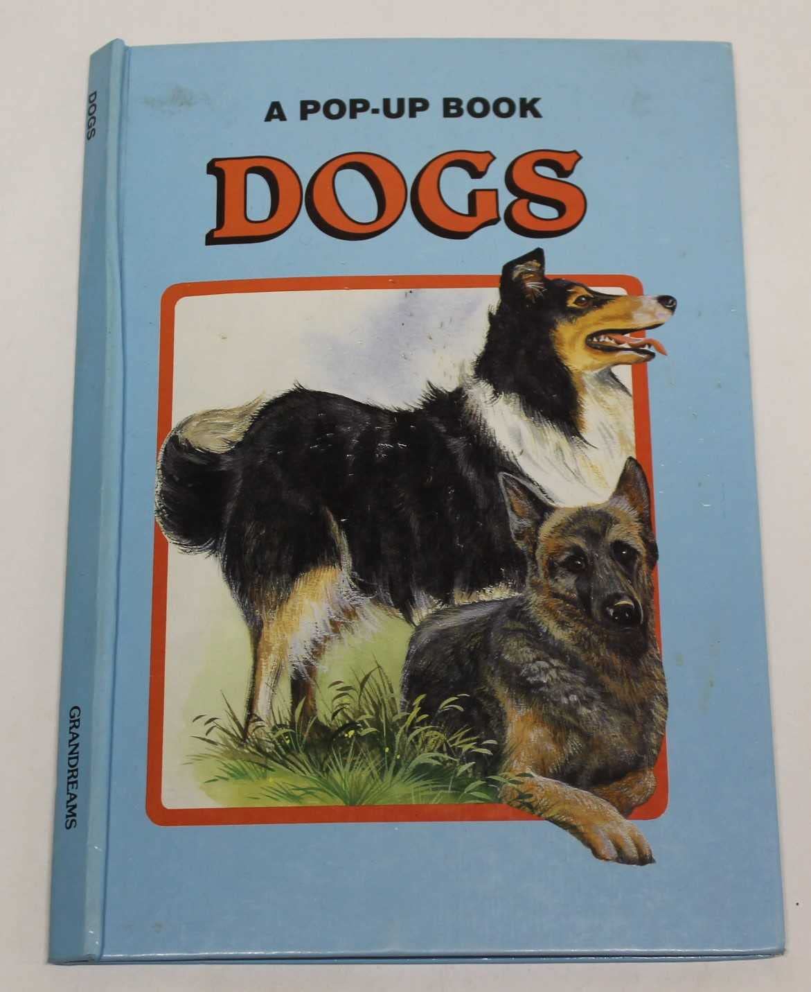 Cats A Pop-up Book Books