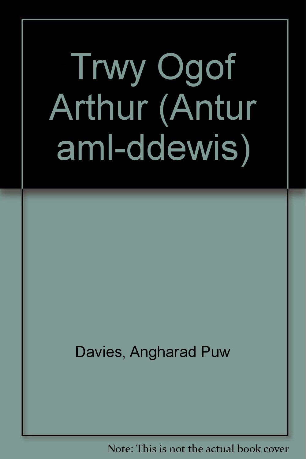 Trwy Ogof Arthur book