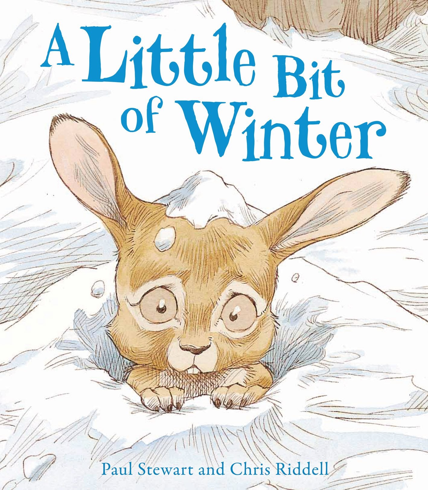 A Little Bit Of Winter (Rabbit and Hedgehog, Band 7) Non-fiction