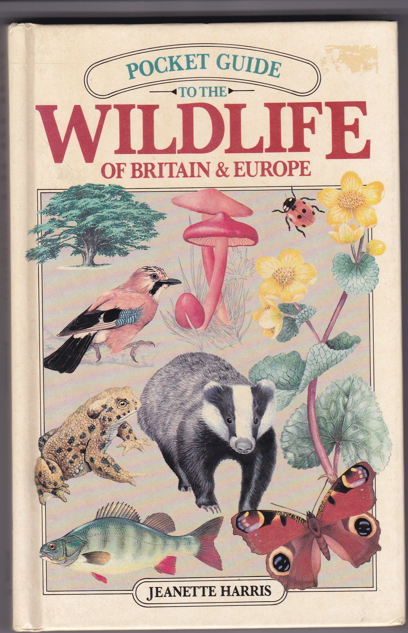 Pocket Guide to Wild Life of Britain and Europe Books