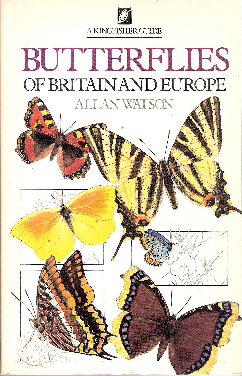 Butterflies of Britain and Europe Books