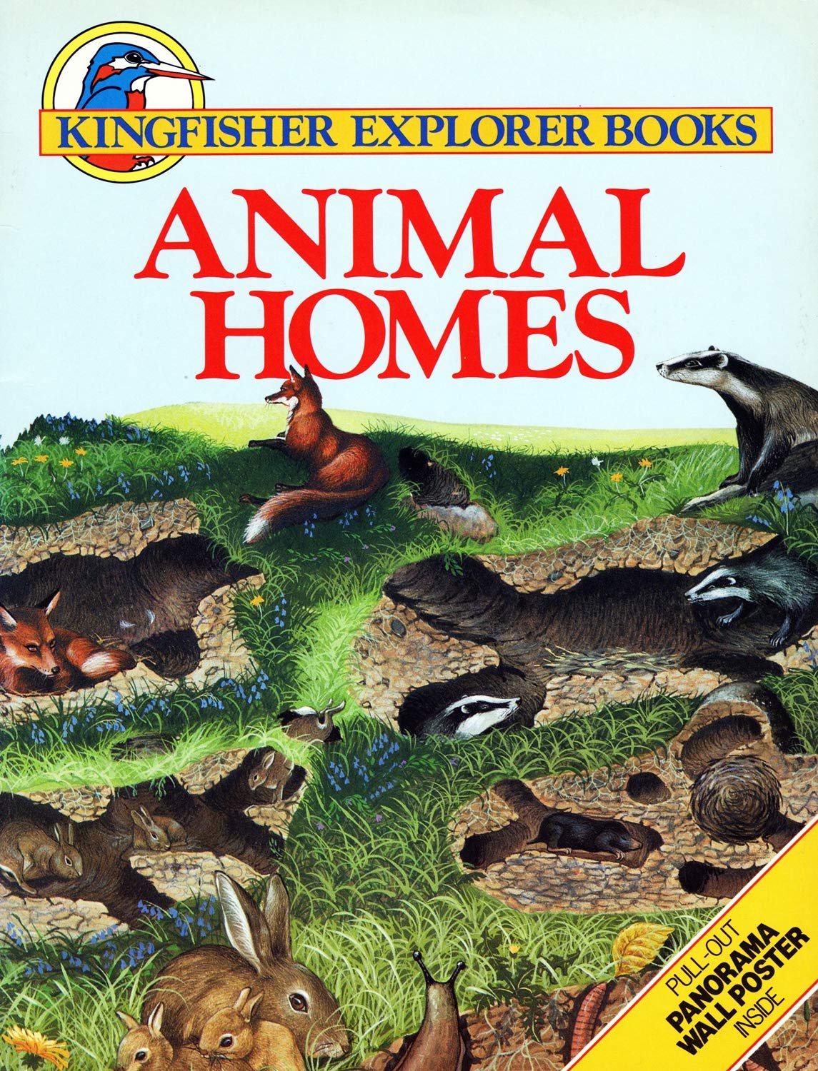 Animal Homes (Kingfisher explorer books) Non-fiction