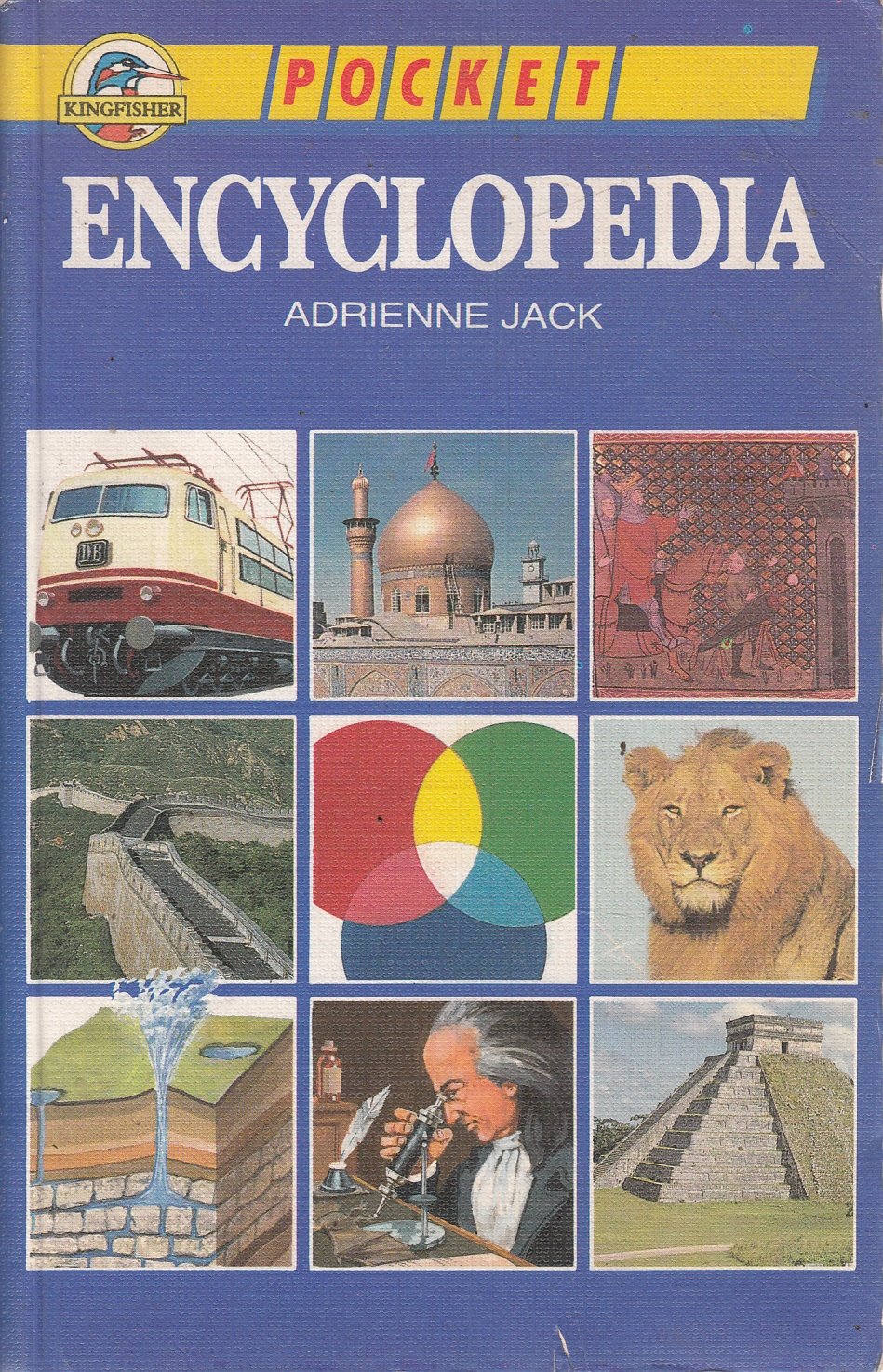 Pocket Encyclopedia (Kingfisher pocket books) Books