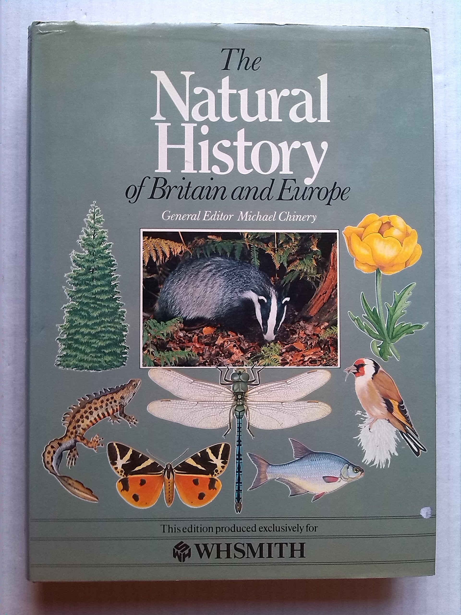 The Natural History of Britain and Europe Mathematics