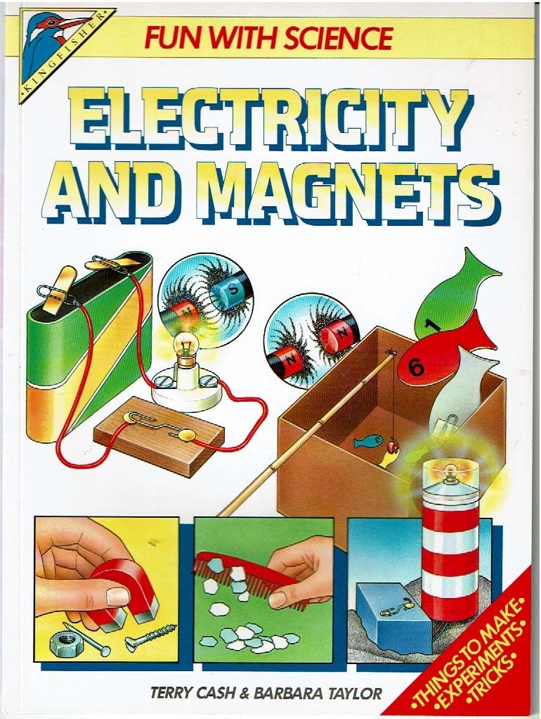 Electricity and Magnets (Fun with Science S.) Non-fiction