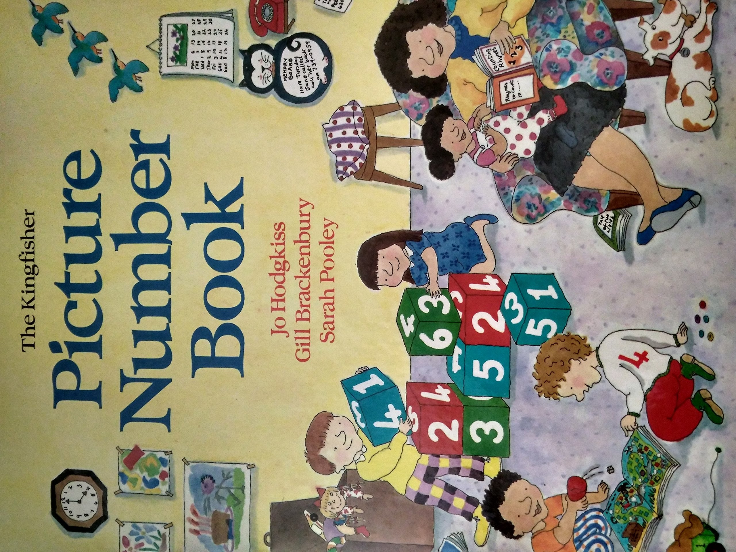 The Kingfisher Picture Number Book Non-fiction