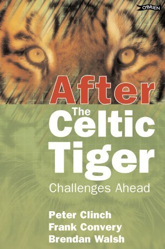 Product Image: After the Celtic Tiger: Challenges Ahead