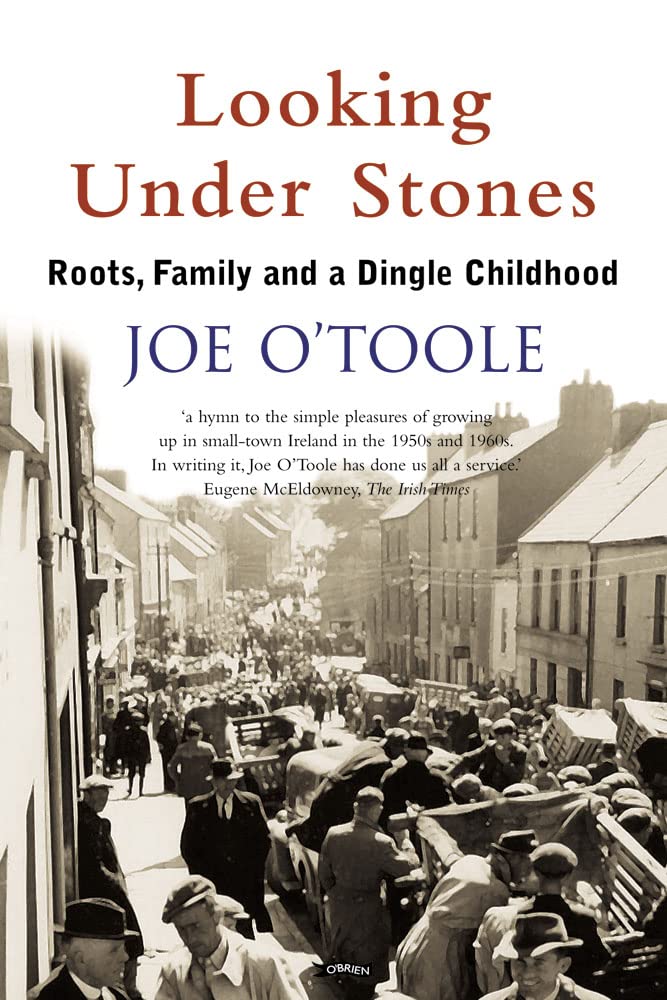 Looking Under Stones: Roots, Family and a Dingle Childhood Books