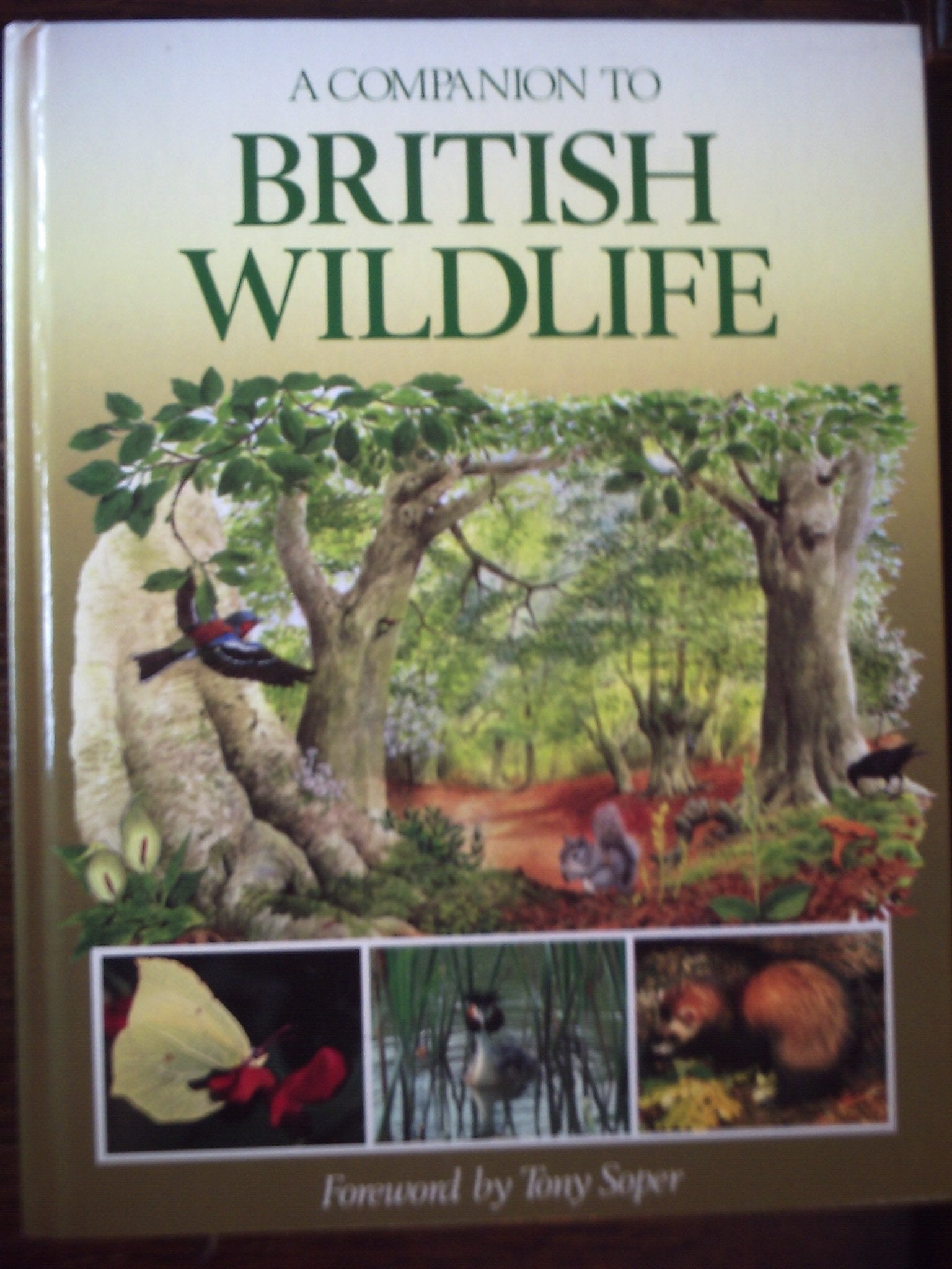 A Companion to British Wildlife book