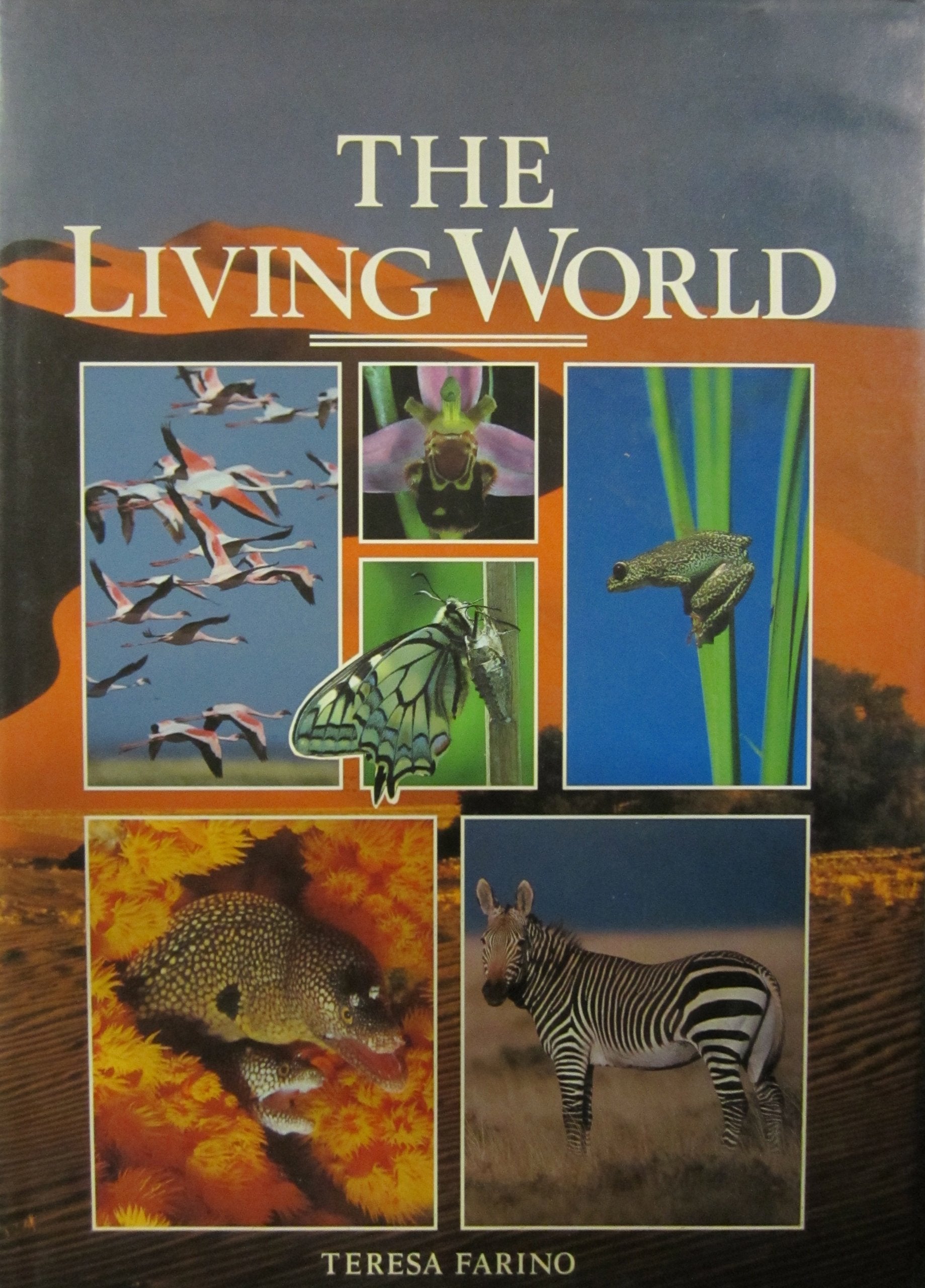 The Living World (Bramley books) Mathematics