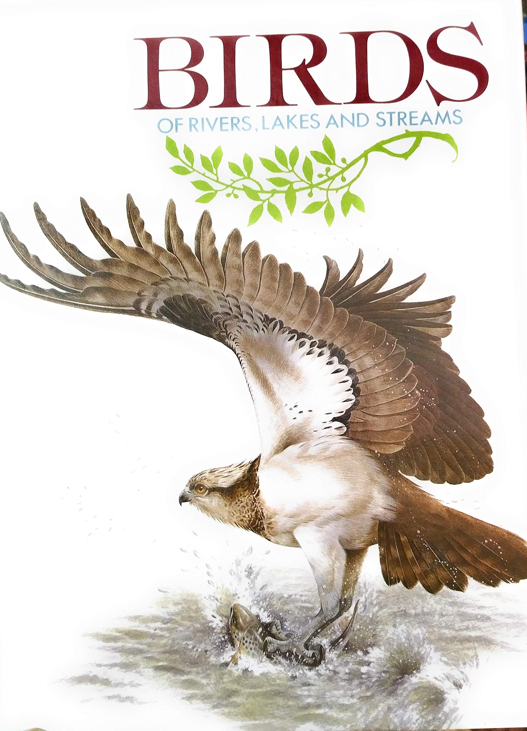 Birds of Rivers, Lakes, and Streams Business & Technology