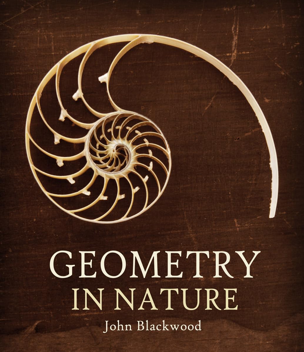Geometry in Nature: Exploring the Morphology of the Natural World Through Projective Geometry Mathematics