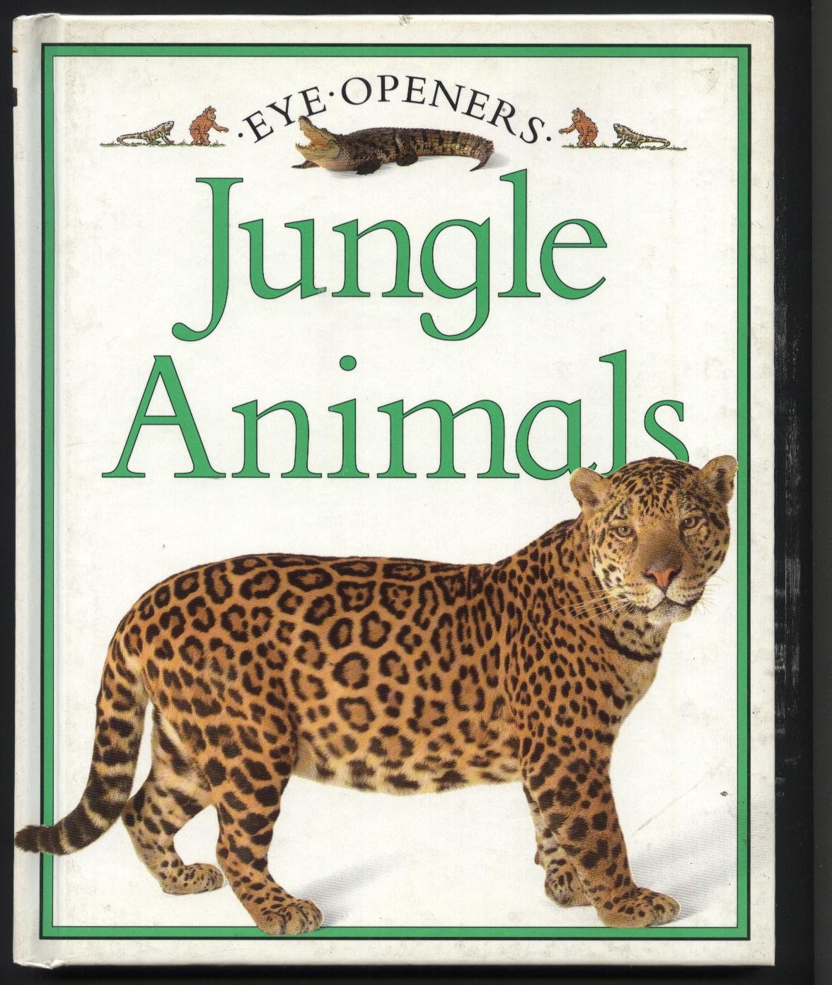 Product Image: Eye Openers: 6 Jungle Animals