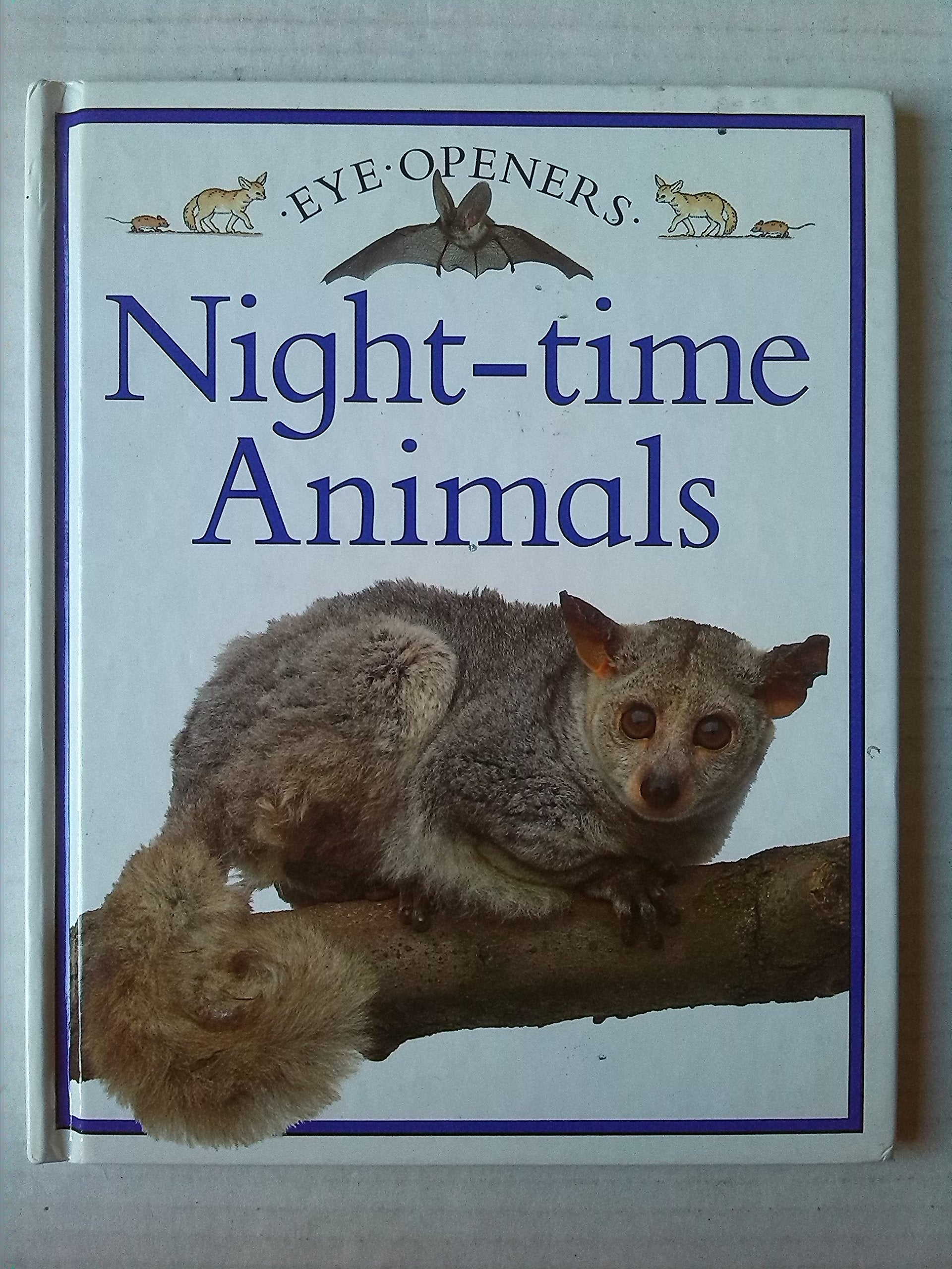Eye Openers:14 Night Time Animals Non-fiction