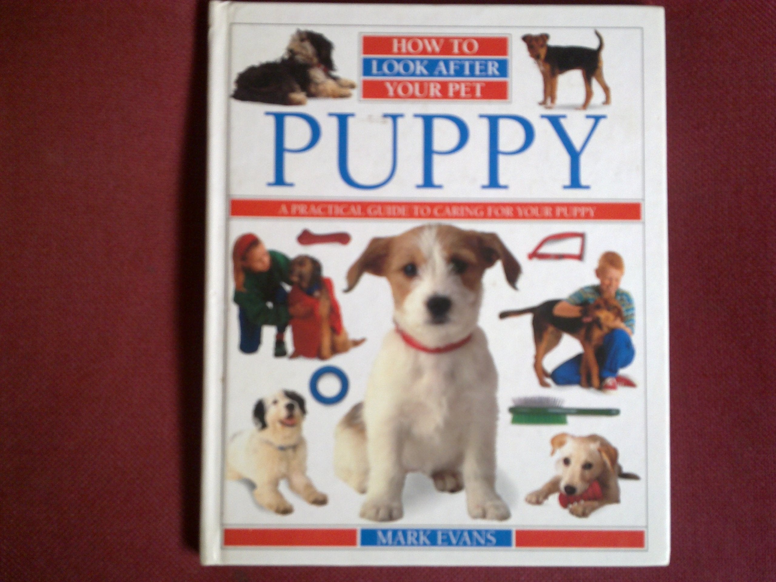 How To Look After Your Pet: 2 Puppy book