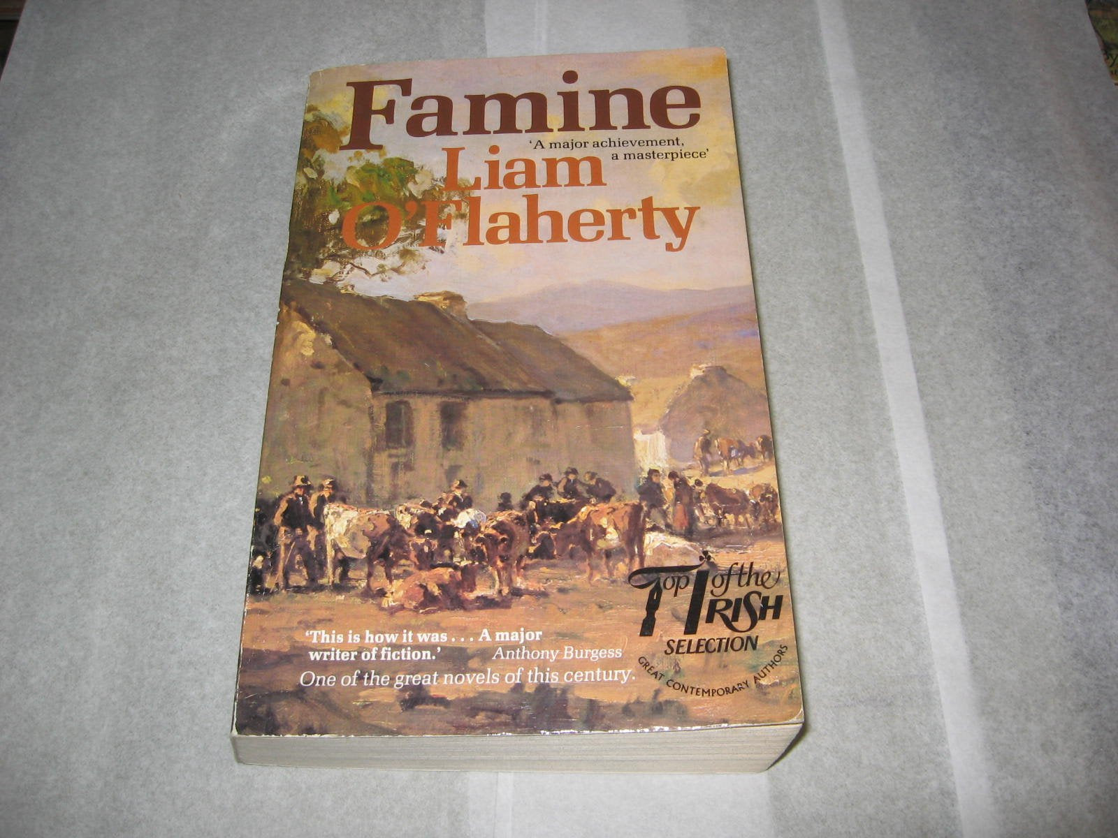 Famine Historical Fiction