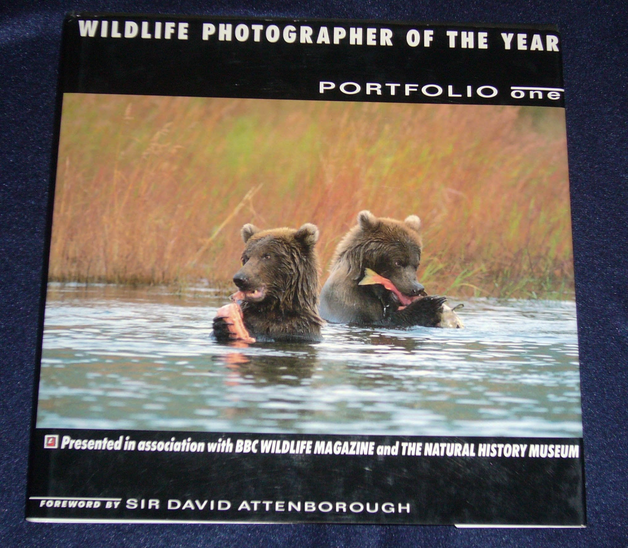 Wildlife Photographer of the Year: Portfolio One Mathematics